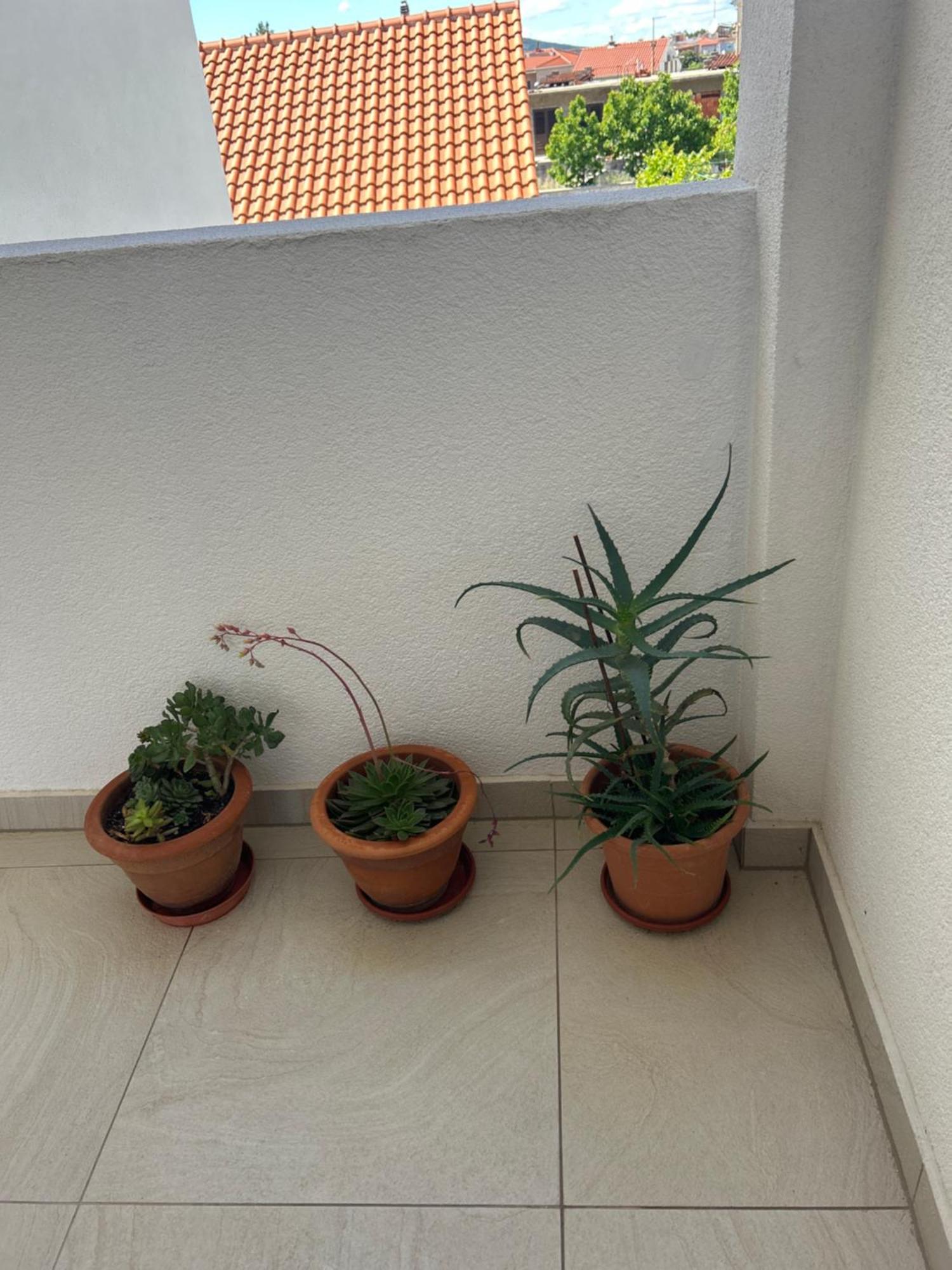 Apartments Purkovic Vodice Exterior photo